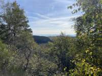 auvergne20242_small.jpg